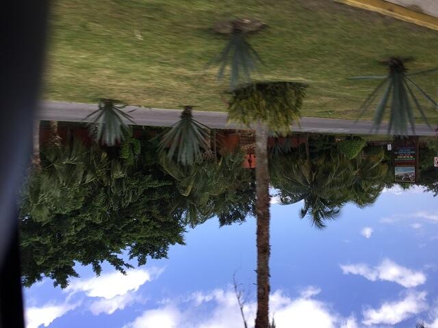 2019-03-29 10-11-05 033