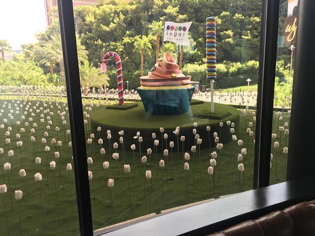 IMG 0070