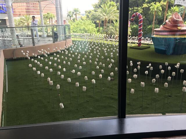IMG 0072