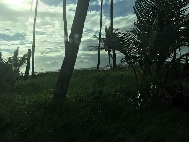 IMG 0201