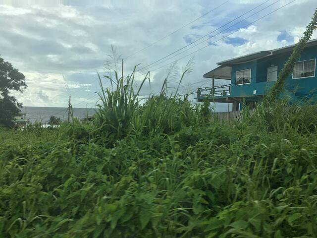 IMG 0208
