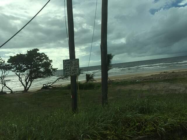 IMG 0210