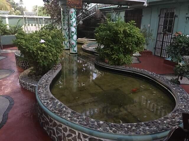 IMG 0250