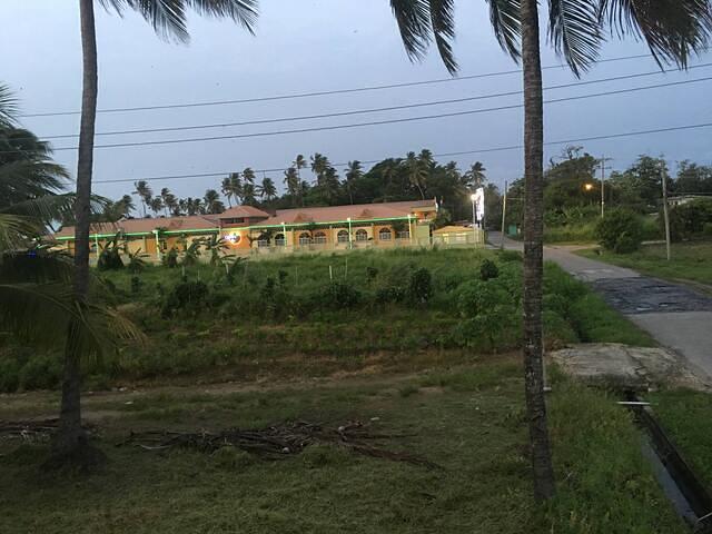 IMG 0253