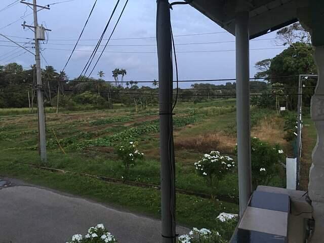 IMG 0255