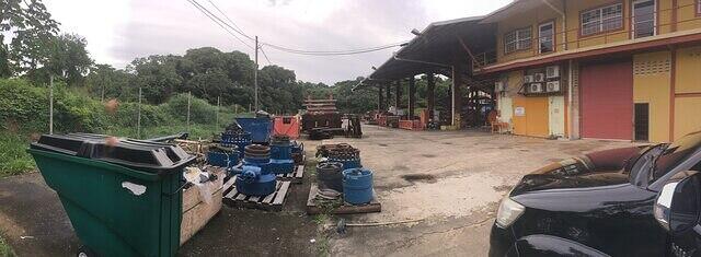 IMG 0303