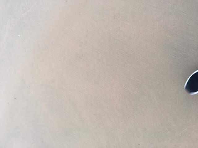 IMG 0310