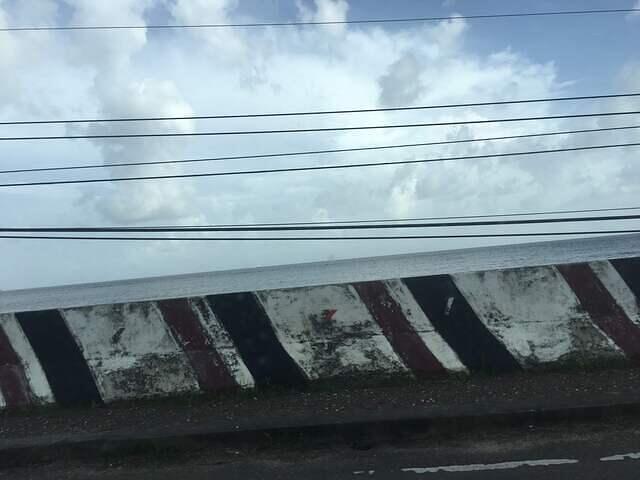 IMG 0339