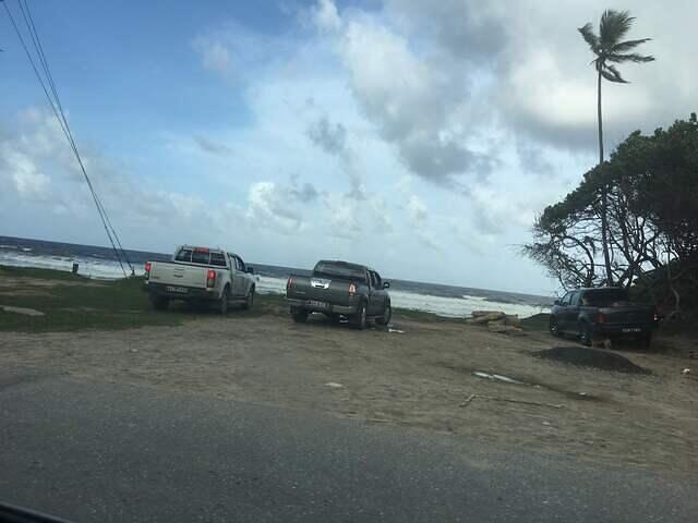 IMG 0349