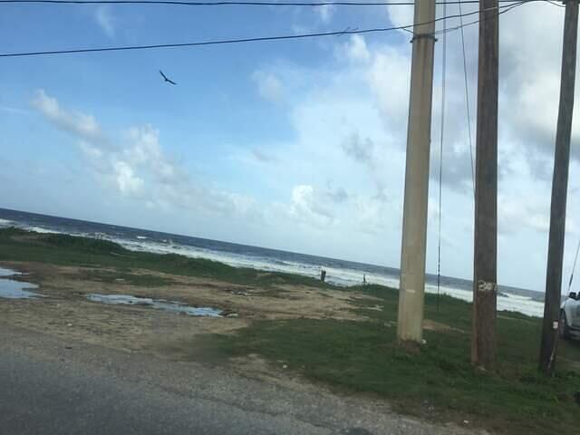 IMG 0350