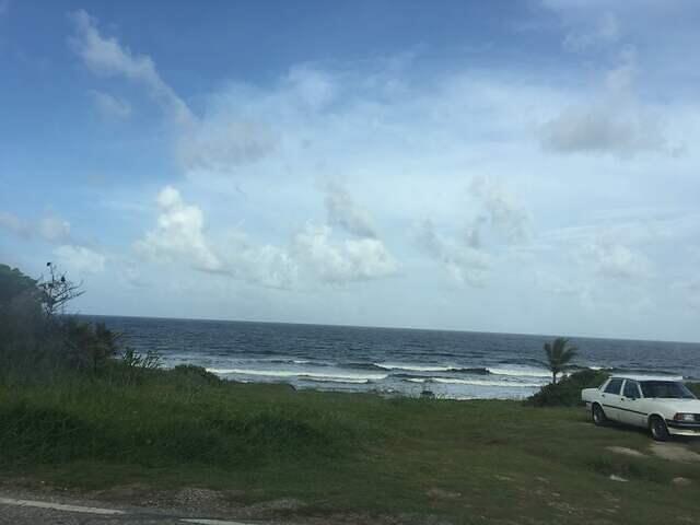 IMG 0358