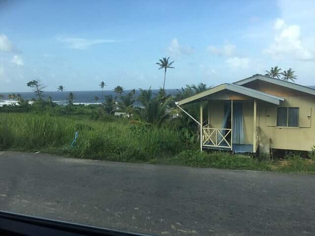 IMG 0361