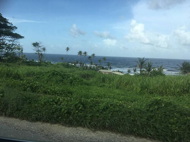 IMG 0362
