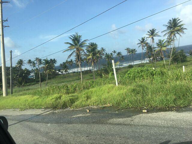 IMG 0364