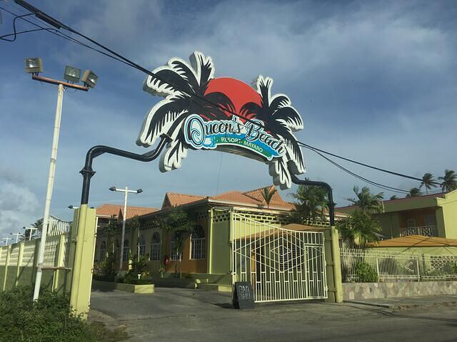 IMG 0369