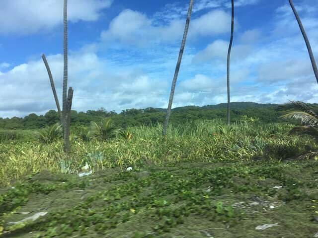 IMG 0480