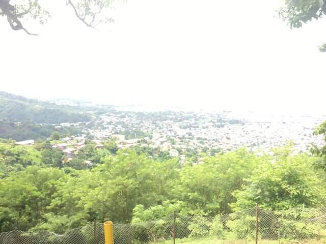 IMG 0554