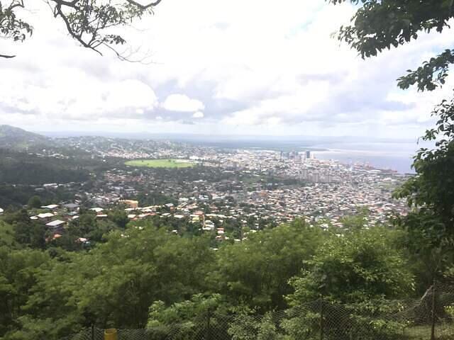 IMG 0557
