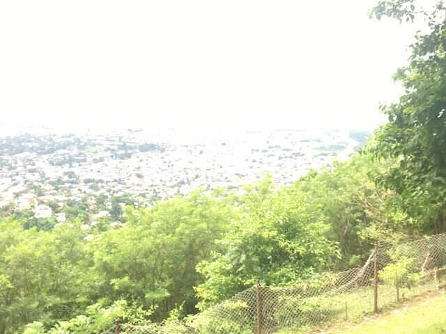 IMG 0558