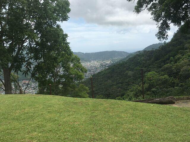 IMG 0581