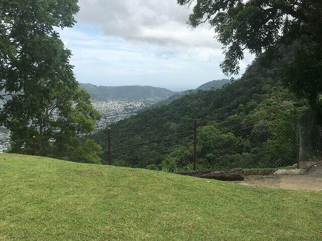 IMG 0582