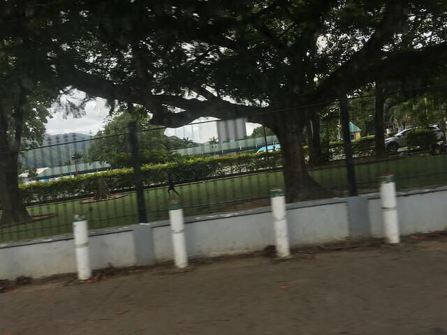IMG 0621