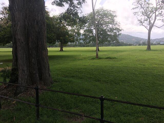 IMG 0635