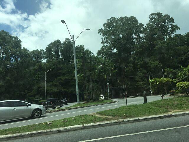 IMG 0647