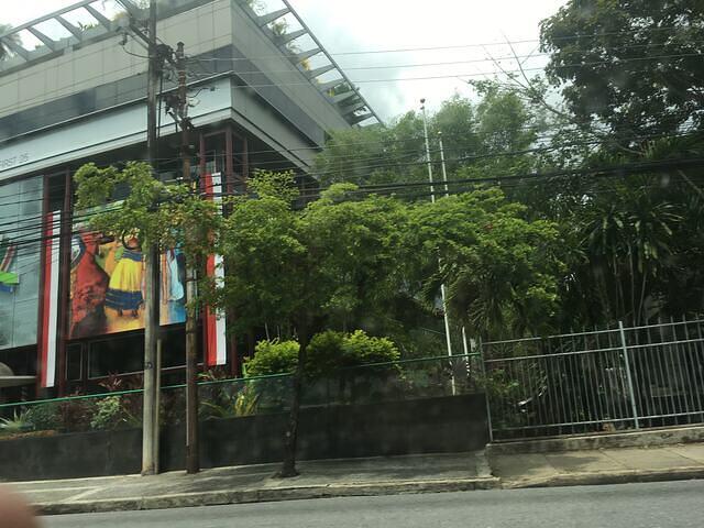 IMG 0651