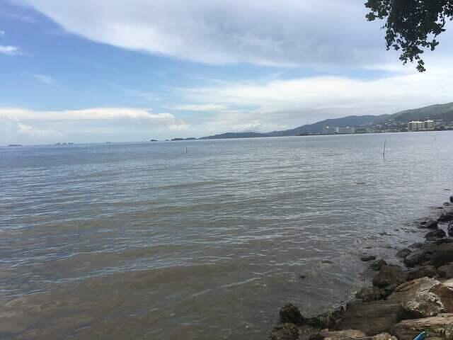 IMG 0668