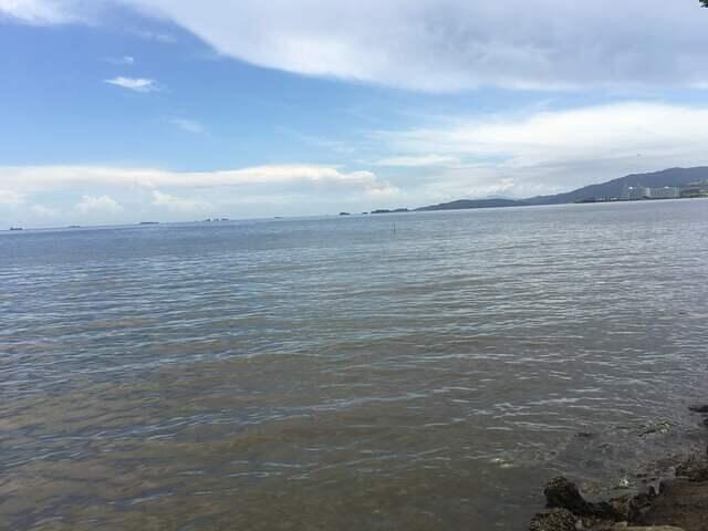 IMG 0669