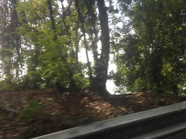 IMG 0734