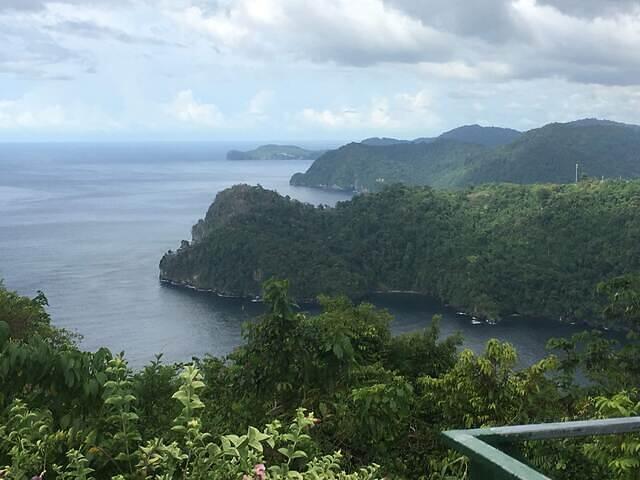 IMG 0742