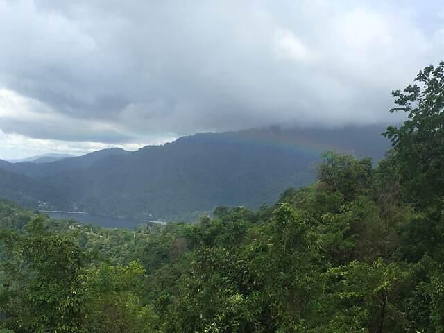 IMG 0748
