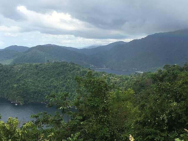 IMG 0749