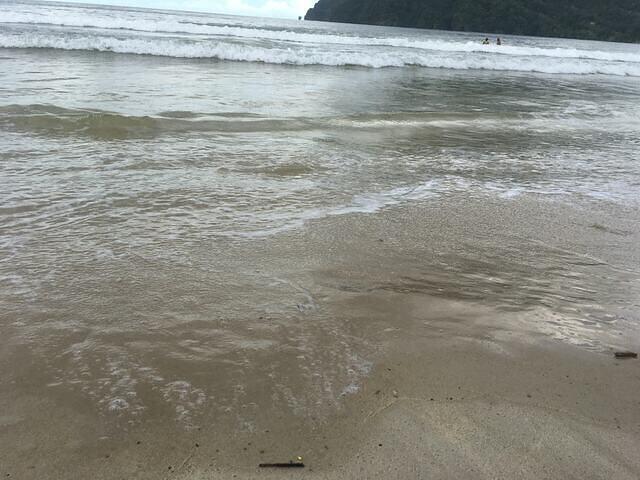 IMG 0802