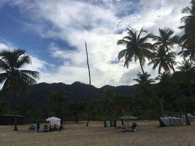IMG 0824