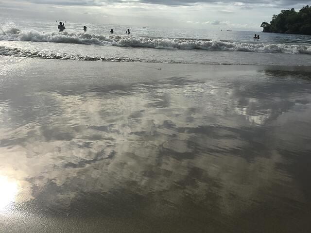 IMG 0856