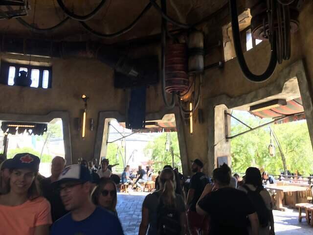 IMG 1031