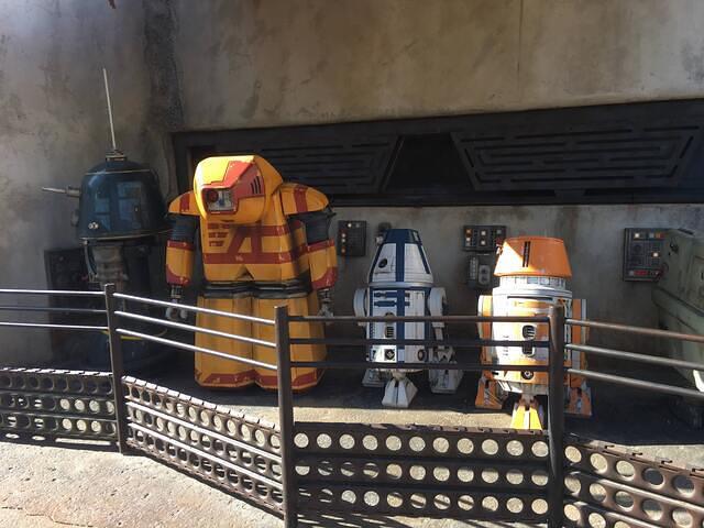 IMG 1139