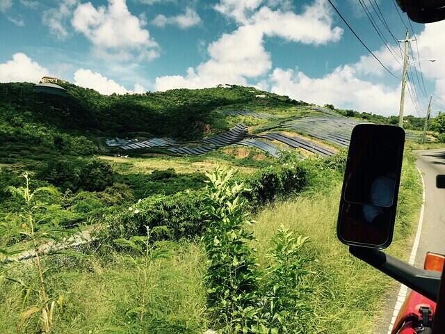 IMG 6142(1)