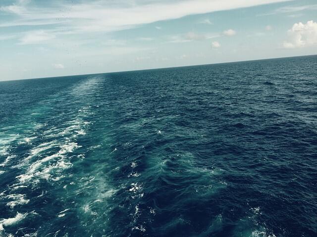 IMG 6235(1)