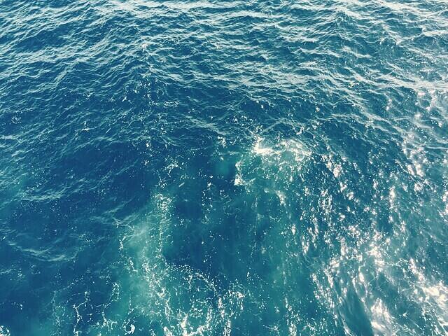 IMG 6238(1)