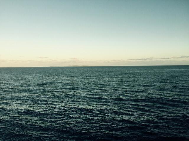 IMG 6300(1)