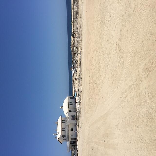 IMG 7010