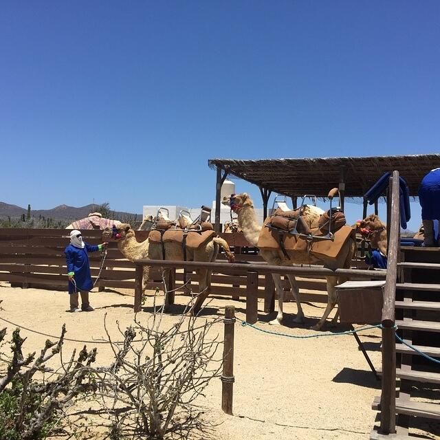 IMG 7014