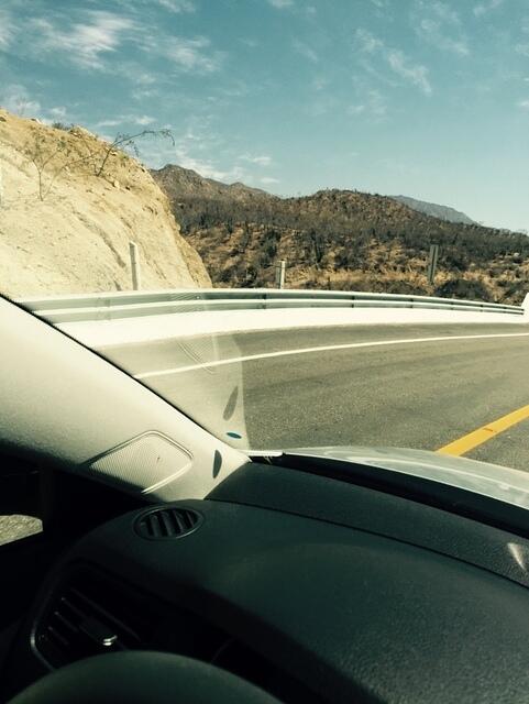 IMG 7031(1)