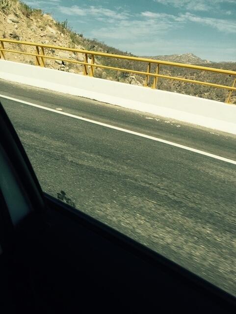 IMG 7036(1)