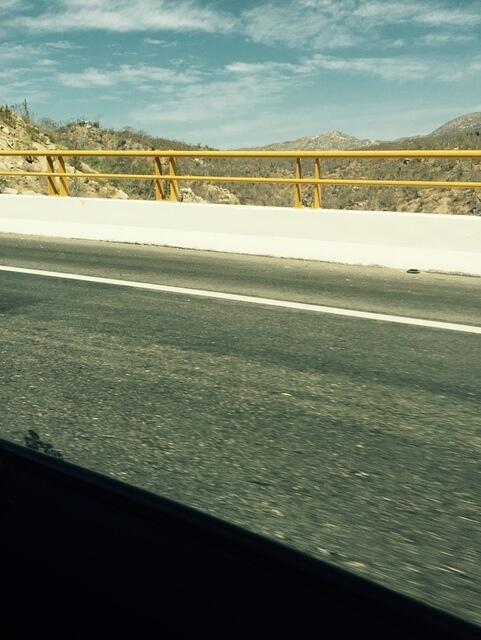 IMG 7037(1)