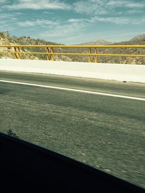 IMG 7037